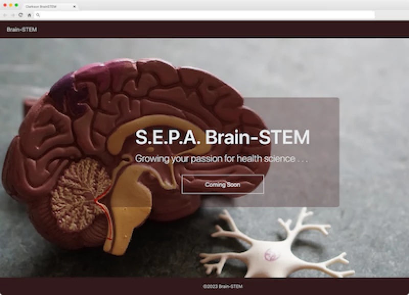 screen capture of page